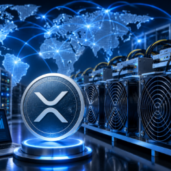 ASDeFi запускает новый майнинг криптовалюты XRP, легко зарабатывая 3000 долларов в день.